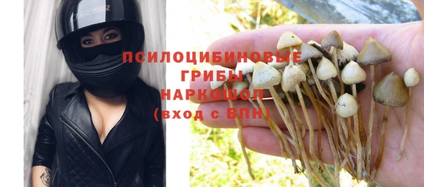 спиды Абаза