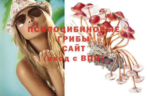 тгк Абинск