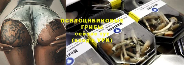 тгк Абинск