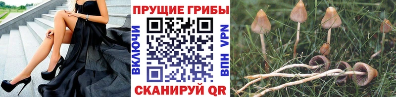 Псилоцибиновые грибы мухоморы  Нижний Тагил 
